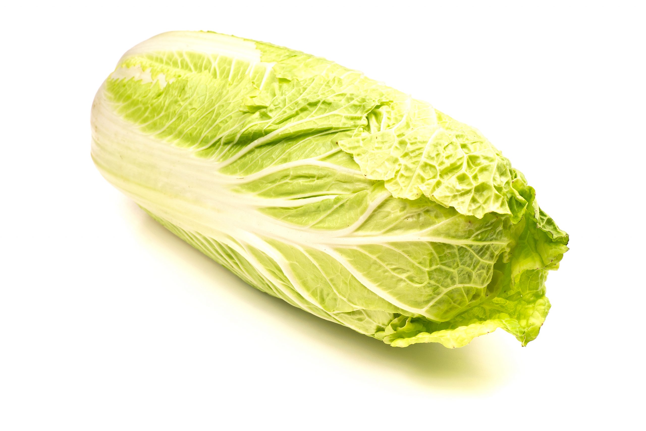 Varza chinezească – tot ce trebuie să știi despre cultivarea ei