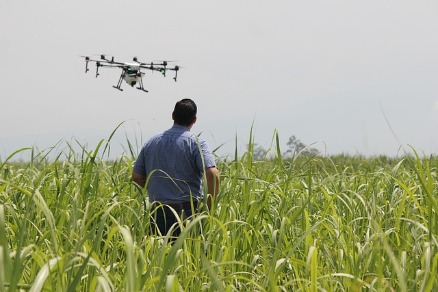Principiile agriculturii de precizie