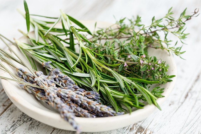Dezvoltă o afacere din cultivarea plantelor medicinale și aromatice
