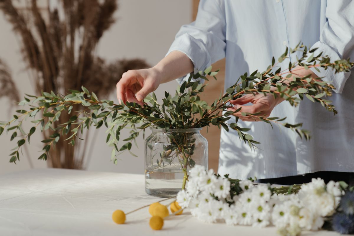 Cand se planteaza crizantemele si florile de toamna? Afla raspunsul pentru o gradina plina de culoare si parfum