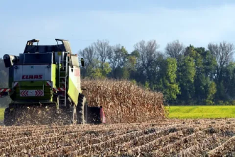 Principalele lucrări agricole în septembrie