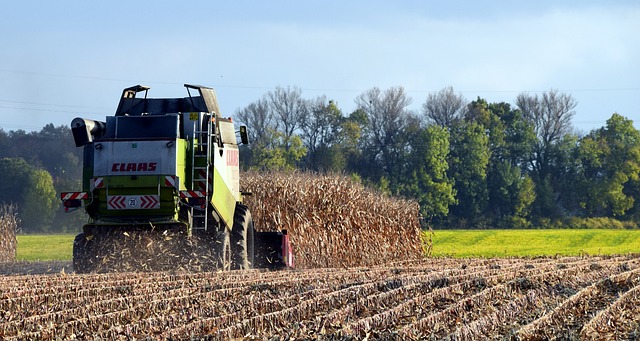 Principalele lucrări agricole în septembrie