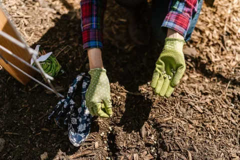 Ce este mulciul si cum influenteaza sanatatea plantelor tale?