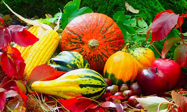 Principalele lucrări agricole în octombrie