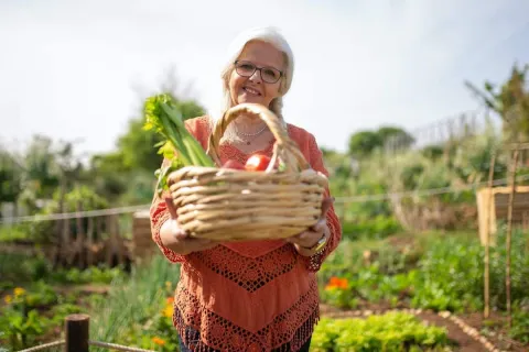 Tine-ti gradina mereu verde! Iata ce legume se planteaza toamna tarziu si la inceput de iarna