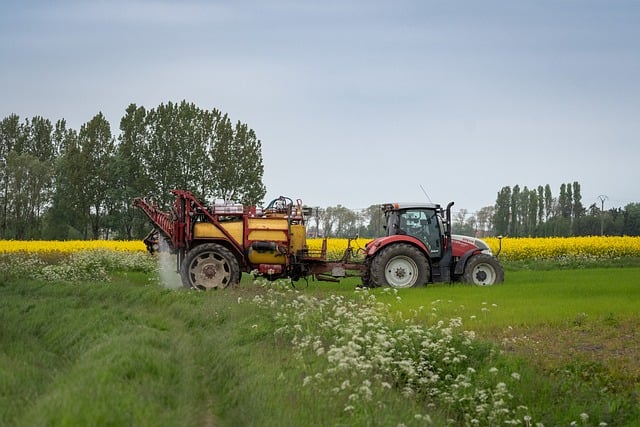 Principalele lucrări agricole în iulie