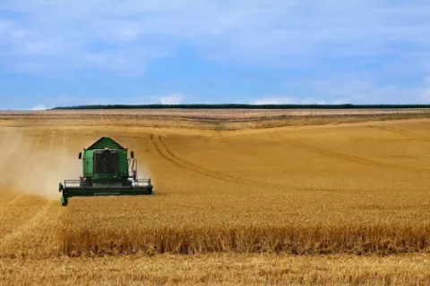 Sfaturi pentru recoltarea eficientă a culturilor de vară