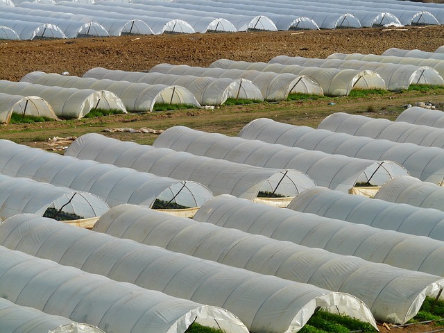 Îngrijirea și pregătirea solariilor pentru sezonul rece
