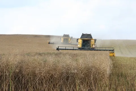 Principalele lucrări agricole în noiembrie