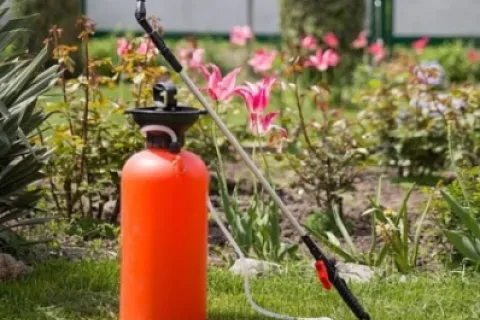 Compatibilitatea fungicidelor cu insecticidele și erbicidele