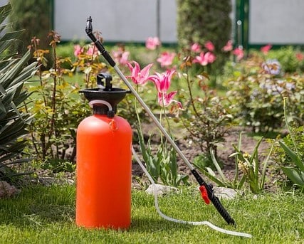 Compatibilitatea fungicidelor cu insecticidele și erbicidele