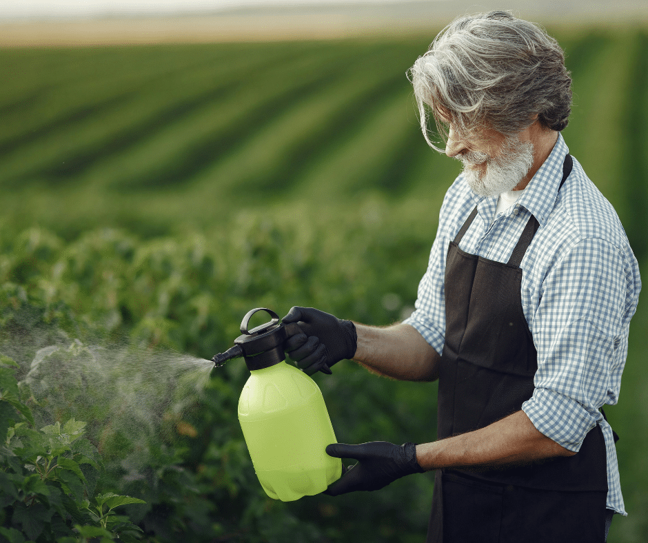 Stropiri preventive vs. tratamente de combatere: diferențele esențiale