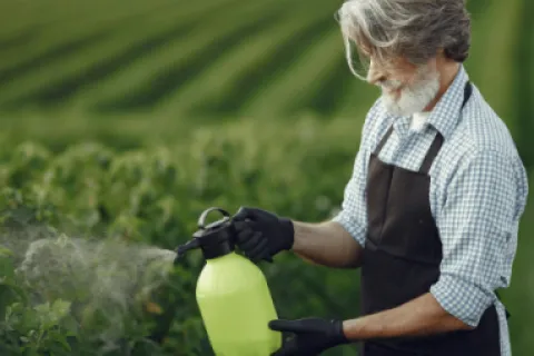 Stropiri preventive vs. tratamente de combatere: diferențele esențiale