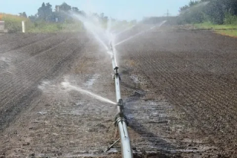 Irigațiile de toamnă: strategii pentru drenaj eficient și sol sănătos