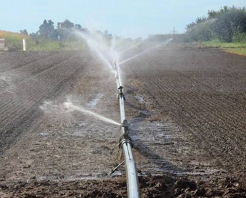 Irigațiile de toamnă: strategii pentru drenaj eficient și sol sănătos