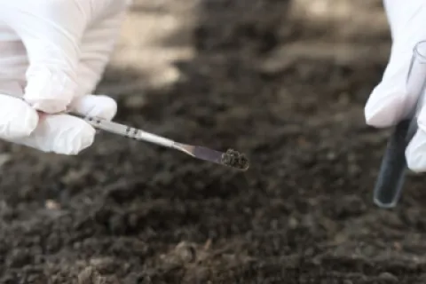 Ce este cartarea solului și de ce este importantă înainte de un nou sezon agricol?