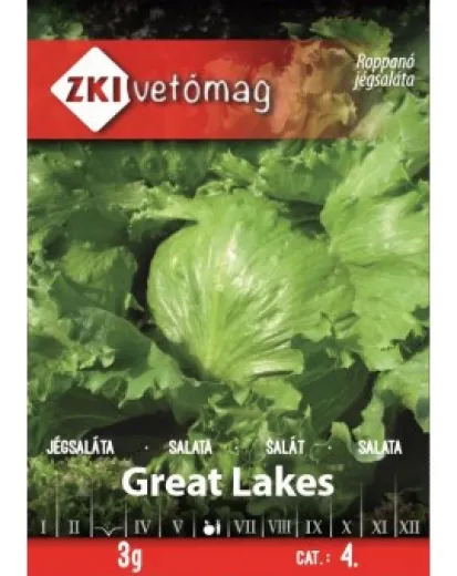 Seminte de salata Great Lakes