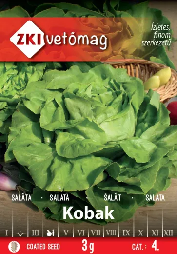 Seminte de salata Kobak
