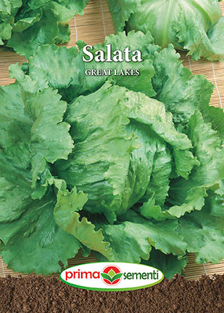 Seminte de salata Great Lakes