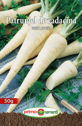 Seminte patrunjel de radacina Berliner 50 gr