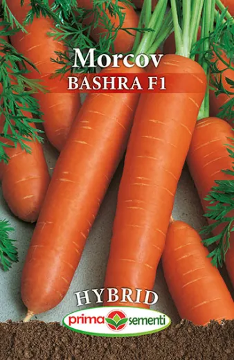 Seminte de morcov Bashra F1