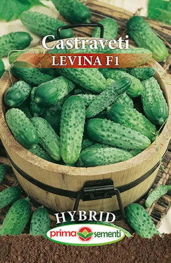 Seminte de castraveti Levina F1