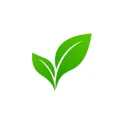 GREEN PLANT