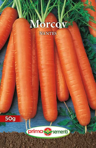 Seminte de morcov Nantes 50 gr